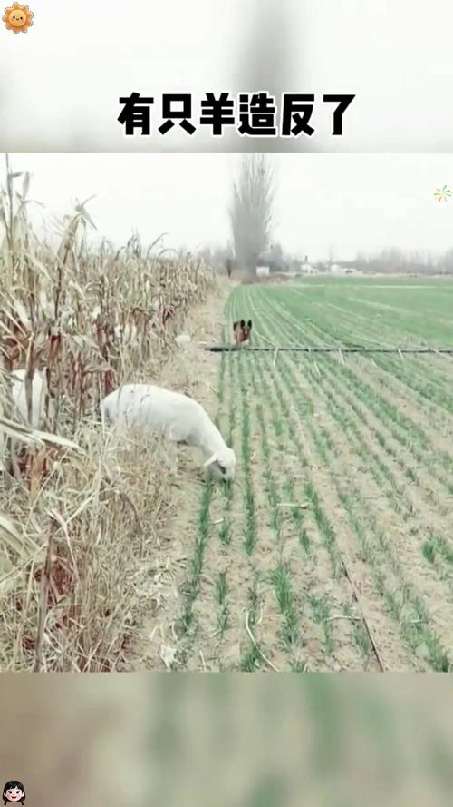 ˮƿ��Ů������ô ˮƿ��Ů��������