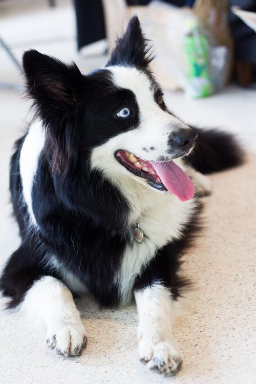 ������ǩ��28ǩ��ǩѧҵ�Ƿ�˳��(������ǩ��28ǩ��ǩѧҵ֮������δ��)