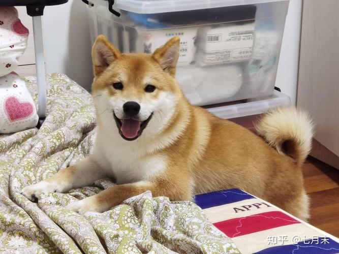 һɽù˭һɽĹùãΪʲô