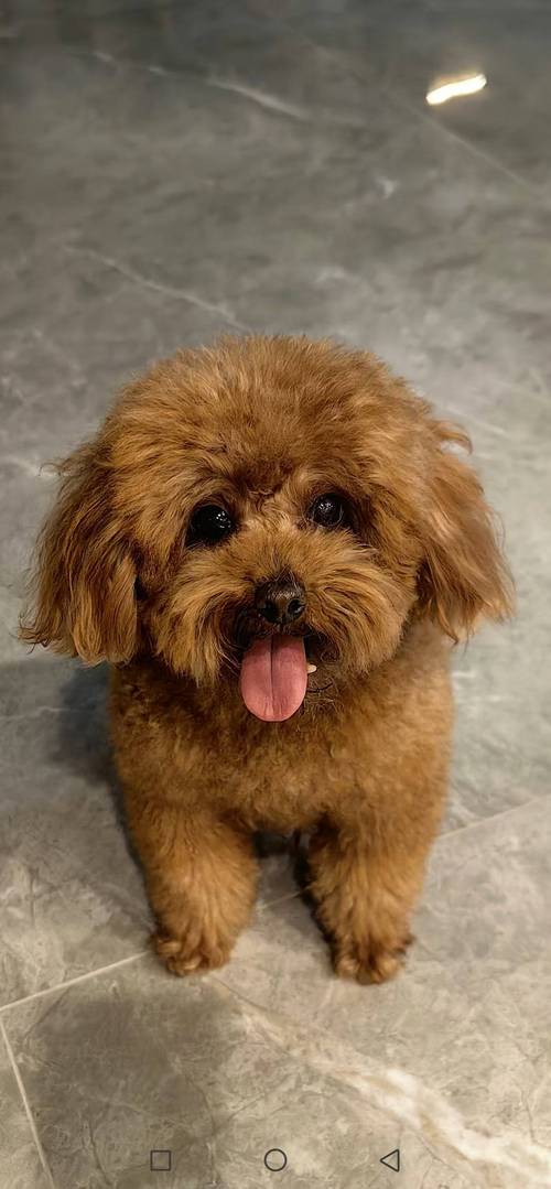 ����ʲô��ɫ��� 1978������������ɫ������