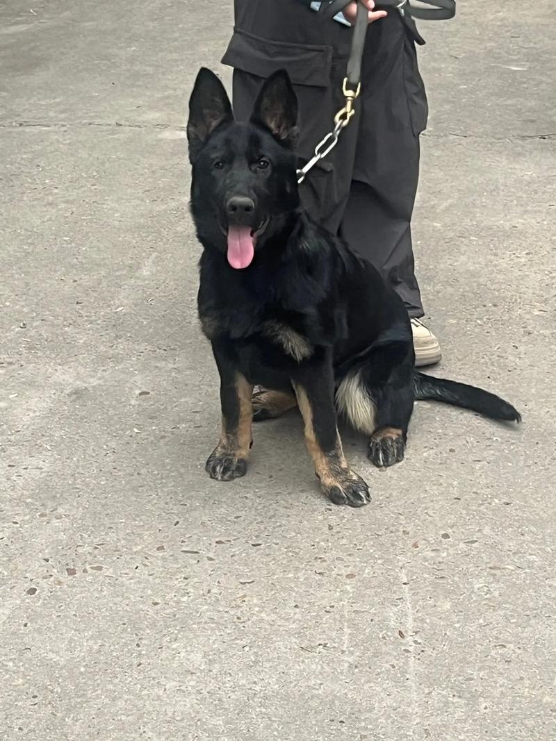 ��س�⹤����䶯��