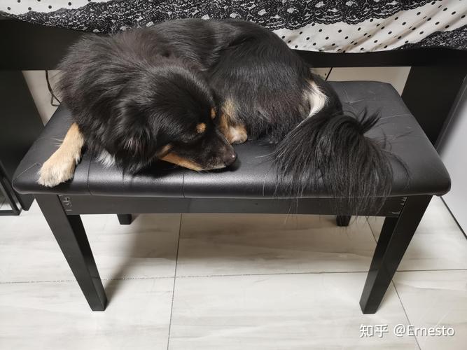 农历初三日出生的属蛇人命运 农历初三日出生的属蛇人命运