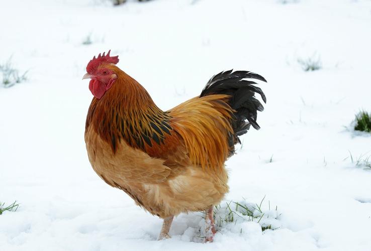 Ŷݼ׶Ӧڣؿʱϣпն