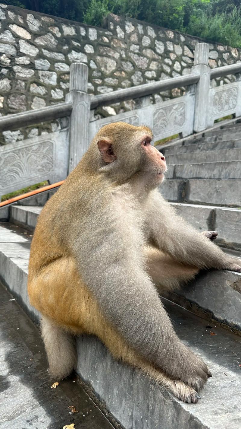 ���ӷ�����Ĳ�λ