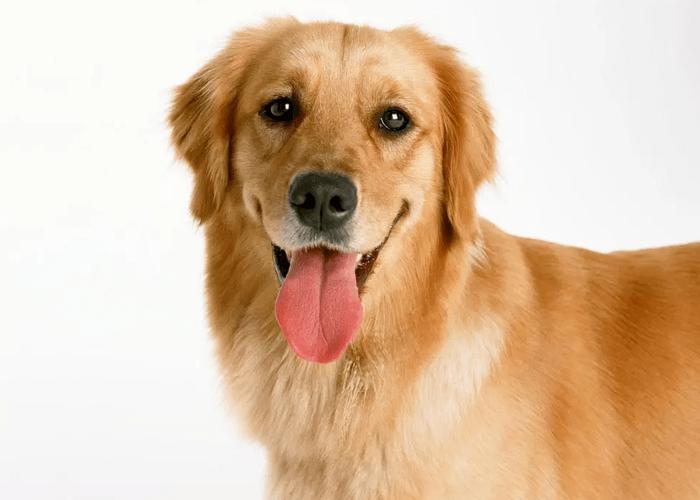 水瓶座女生性格与爱情观 水瓶双鱼双重性格 水瓶座女生性格与爱情观 水瓶双鱼双重性格