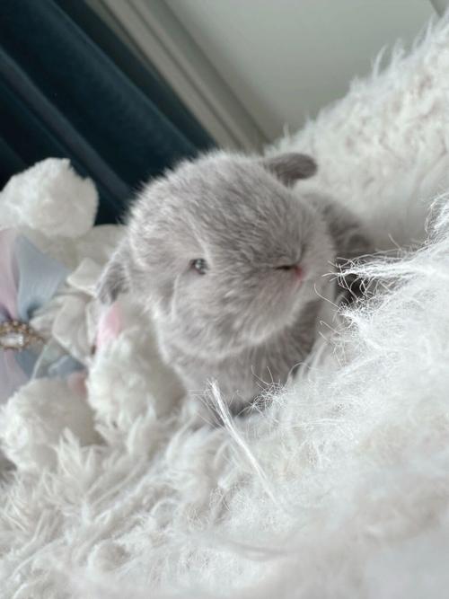 ��üë���࿴Ů������