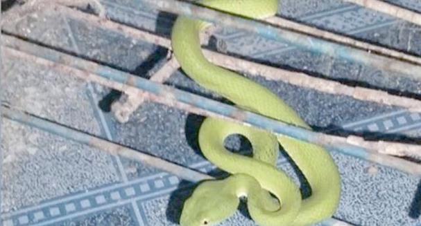 ������Ů������������� ���������Ʒ�ú첼���Ϻ�����ʲô��˼��