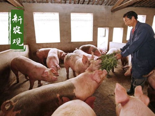 白羊座的孕妇性格特点分析 白羊座几月份怀孕 白羊座的孕妇性格特点分析 白羊座几月份怀孕