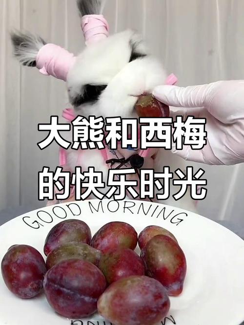 ��Ա������������˭ ���� ����