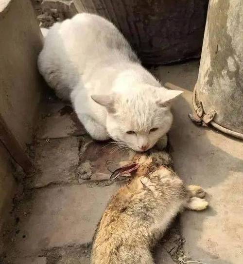 12星座无聊时的异想天开_那些脑洞过大从不无聊的星座 12星座无聊时的异想天开_那些脑洞过大从不无聊的星座