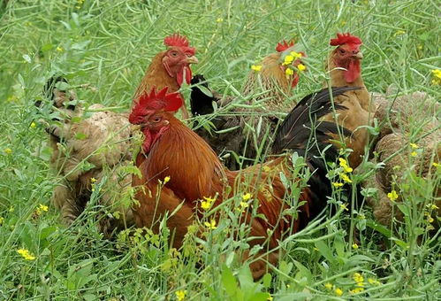 󻷾Ƿг_Եǩˮī(Եǩˮī_סǷг)