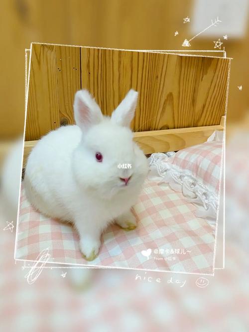 观音灵签4签运签恋爱冲突是否难逃宿命(观音灵签4签运签_恋爱冲突_会否带来缘分断绝的担忧) 观音灵签4签运签恋爱冲突是否难逃宿命(观音灵签4签运签_恋爱冲突_会否带来缘分断绝的担忧)