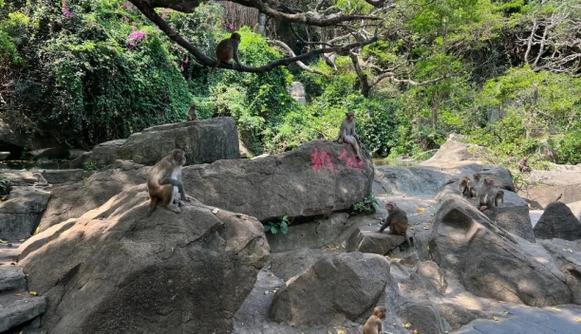 庚子年聊天记录与手机号配对是否会影响个人运势的命理考量 庚子年聊天记录与手机号配对是否会影响个人运势的命理考量