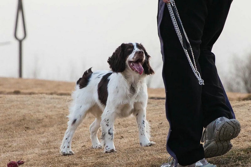 ������ҵ����ռ������ ������ͨ��ÿ���˳���