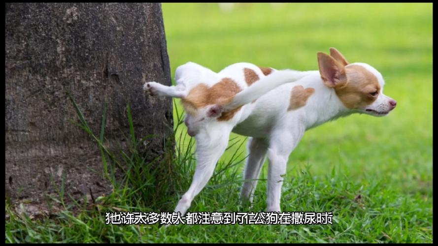 20251122ƺò,20251122ս