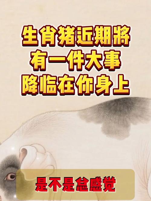 ���ƺŲ⼪�׿ɿ��������ִ�ͳ������Ŀ�ѧ��������һ��̽���䱳�����ʵ��