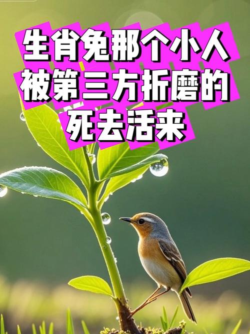 如何从面相看一个人的一生 如何从面相看一个人的一生