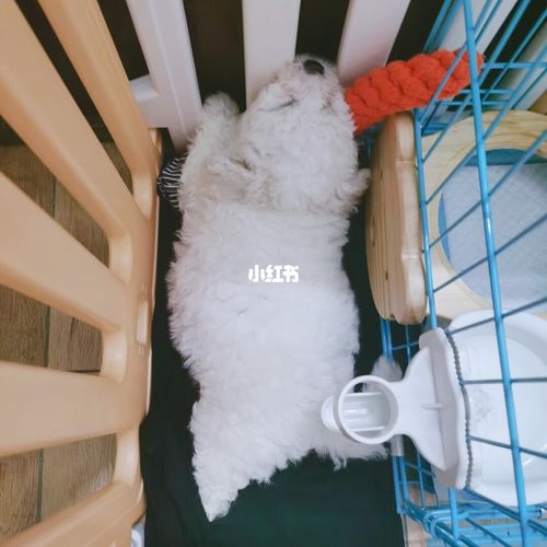 2025��Ů�����������ѡ��ɽ��������������Ը��(2025��Ů���������Ƿ����罭�ӻ�����ҹ��˵�ף��)