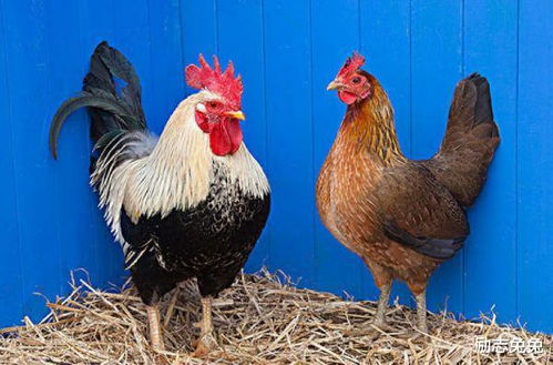 ǩ50ǩǩ_ҳ϶ǷҪ(ǩ50ǩǩǷҳ϶Ȳ)