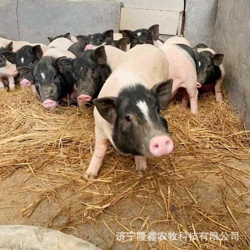 76������Ů���������ô�� 1976��Ů������2020��������������