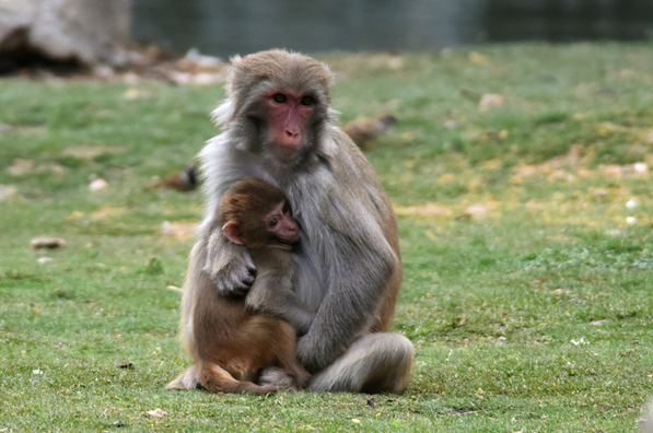 ������ǩ18ǩ��ǩ��ҵ�����ǻ��������˲���(������ǩ18ǩ��ǩ��ҵ�������Ƿ����ڲ���)