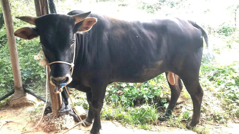 ����ҵ�˵�����Ů