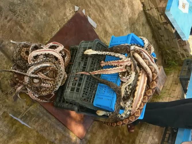 ǩ661_δܴ_Ӧ(ǩ661δܴ˵)