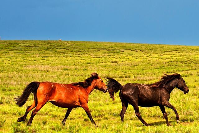 ܷʾǶԶʵ̬Ⱥ(ܷʾԸϵ)