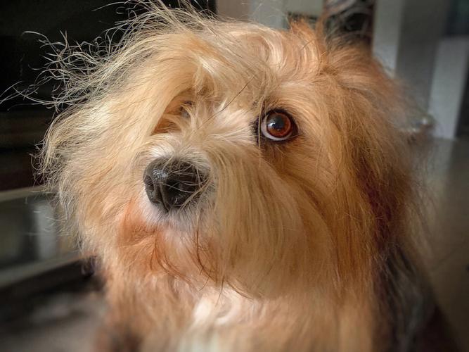 ﹫˾ʱα쵼ѵ(﹫˾Ϊ쵼ͻ)