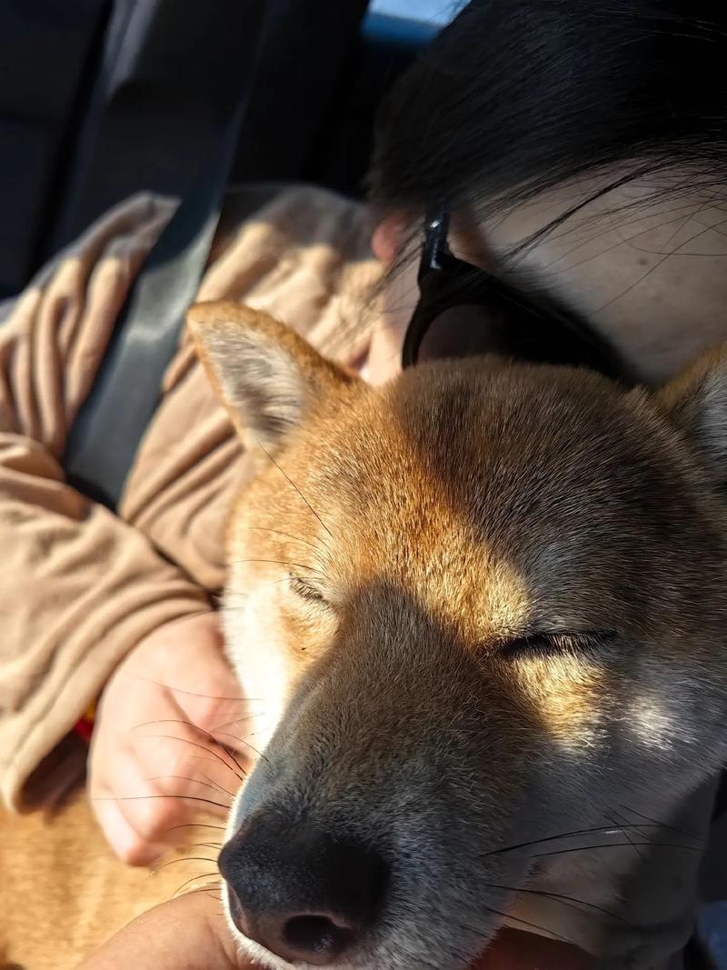 ǩ88ǩϸǩ޹ͨʽǷ˳(ǩ88ǩϸǩ_޹ͨʽǷҪ)