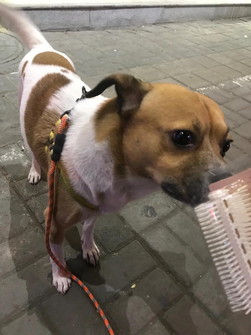 职场风水禁忌与化解 职场风水禁忌与化解