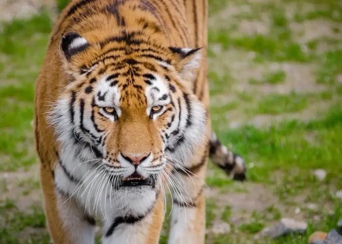 2015��3��ÿ�ռ��� 9��ÿ�ռ���