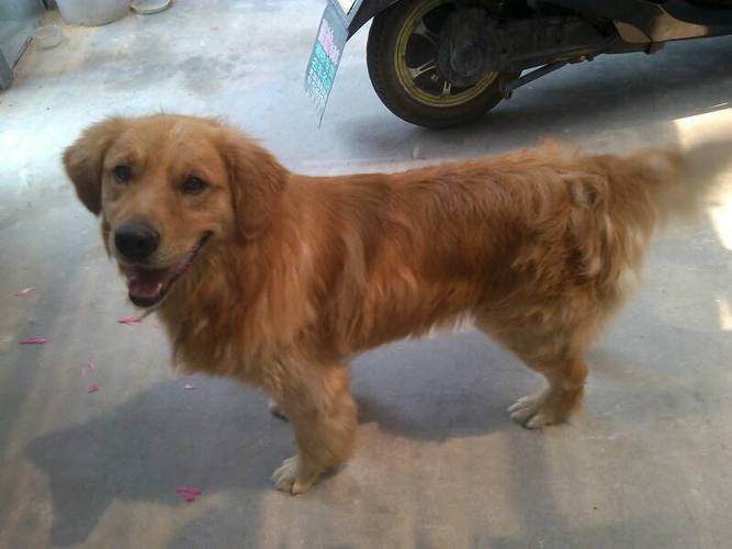 ��Ы�������������Ʋ�ѯ ��Ы����������Ů������