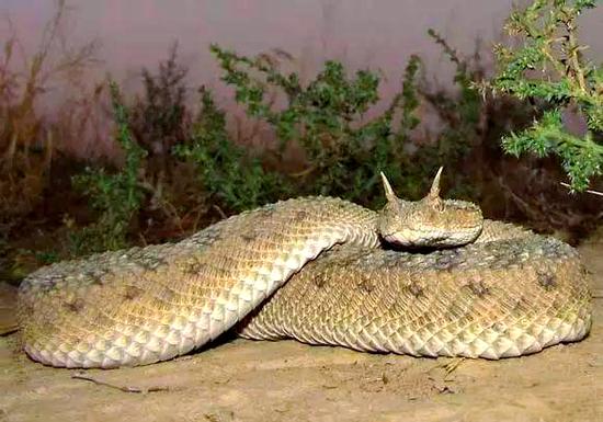 ���������࿴����