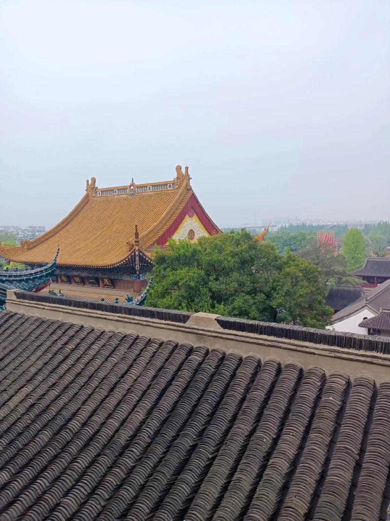 榆树风水禁忌图片大全集榆树风水的寓意和象征 榆树风水禁忌图片大全集榆树风水的寓意和象征