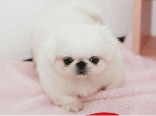 2020��7��������