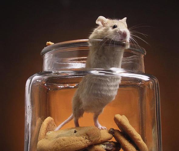 ֺΪζԺȾϰӰǷ˽(ֺǷǱӰȾϰߵ)