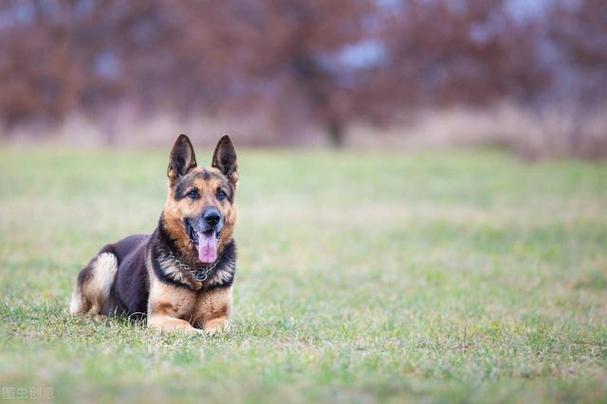 �ذ�����1��ȫ���ۿ�