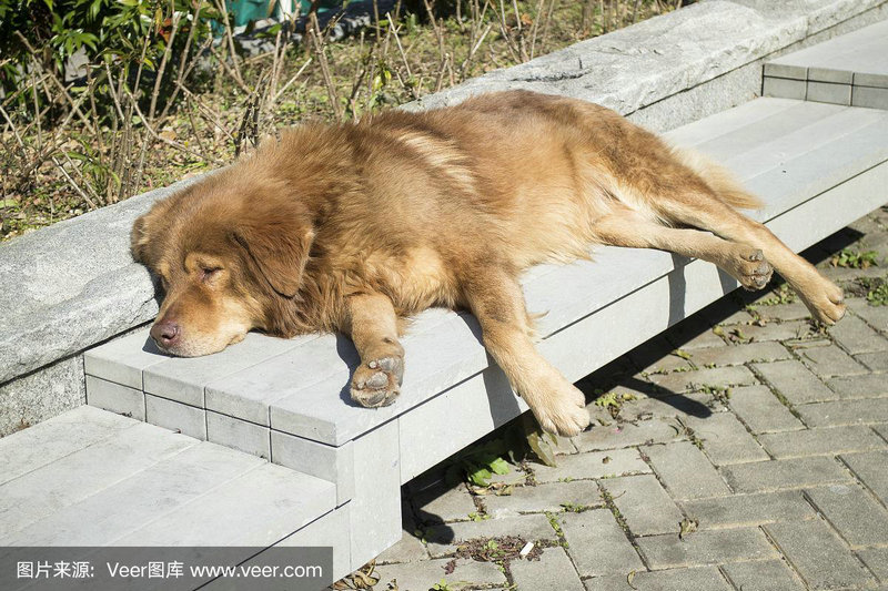 王丽坤最火的十部电视剧 王丽坤最火的十部电视剧