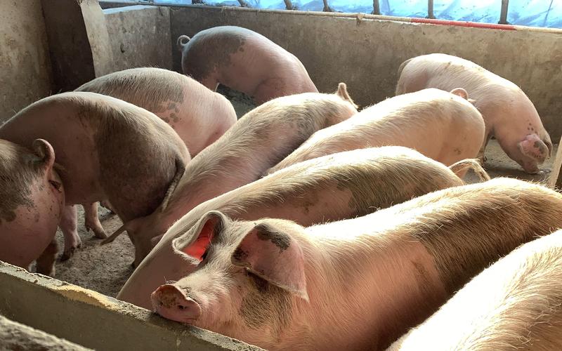 �칫�ҵķ�ˮ���������۲�����5���в����˵�