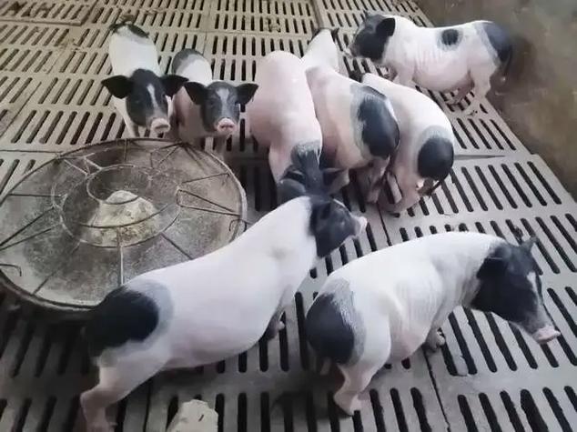 �ص�22��ǩ��ְǩ��Ӧ�����᲻��̫��(�ص�22��ǩ��ְ��Ӧ�����кε�����)