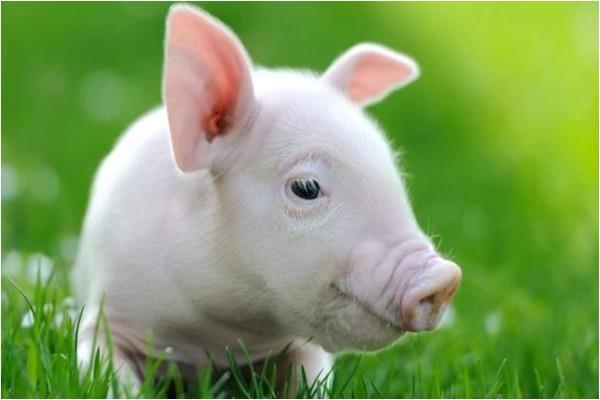 �����к�ʲô����Ů����