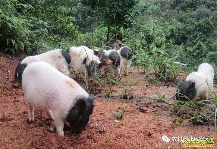 吕祖灵签的上中下签_信任危机何去何从(吕祖灵签的上中下签信任危机吗) 吕祖灵签的上中下签_信任危机何去何从(吕祖灵签的上中下签信任危机吗)