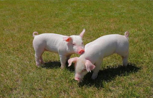 ������ǩʮ��ǩ����_�˼ʹ�ϵ�����Ӱ����(������ǩʮ��ǩ����_�˼ʹ�ϵ_����δ�����ϵ��)