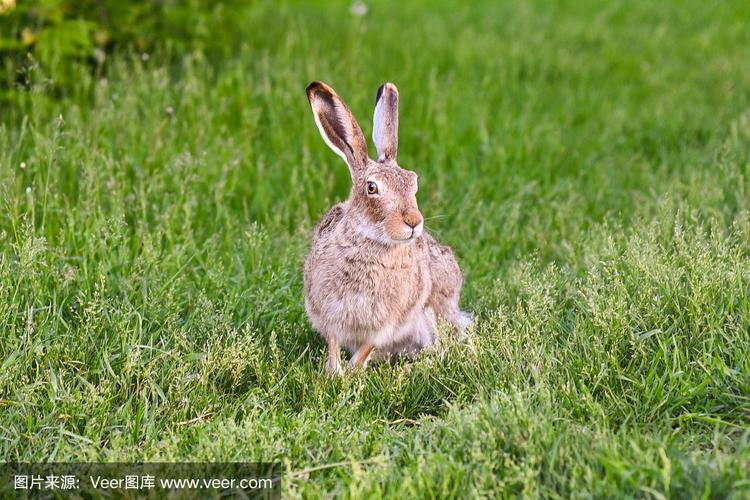 ������ǩ��ʮ��ǩ_ʱ������Ƿ�������(������ǩ��ʮ��ǩ_ʱ������Ƿ�������)