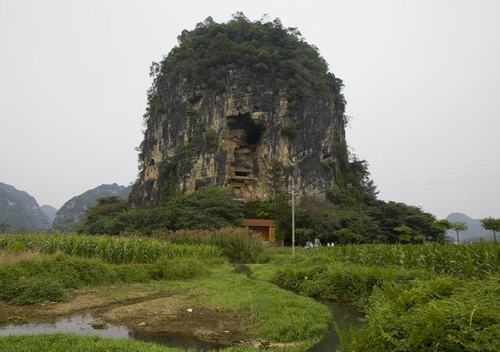 ���ֲ��һ�õ�ʲô�ϻ��ֵİ�ʾ�Ƿ�������Ը(���ֲ��һ�õ�ʲô��Ӱ���ҵĺϻ�����)