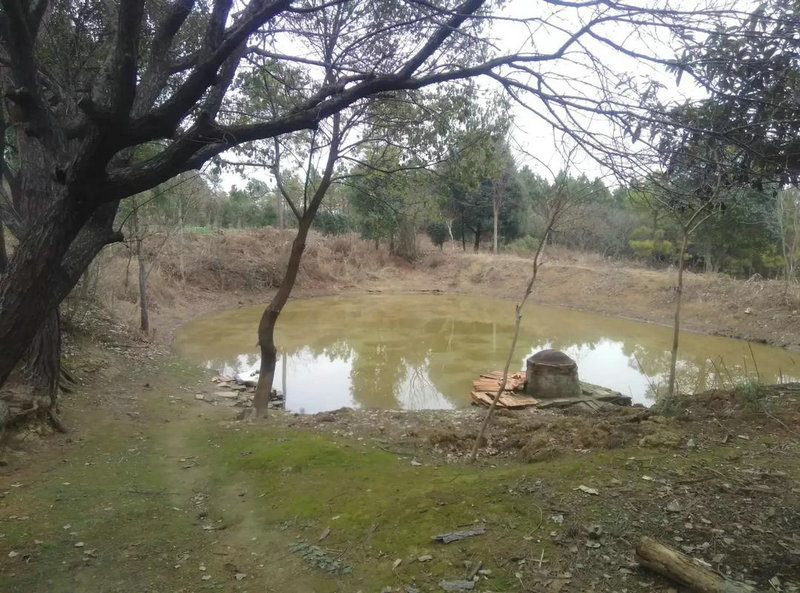 صǩ51ǩ_Σ_Ǻ(صǩ51ǩ_Σȥδ)