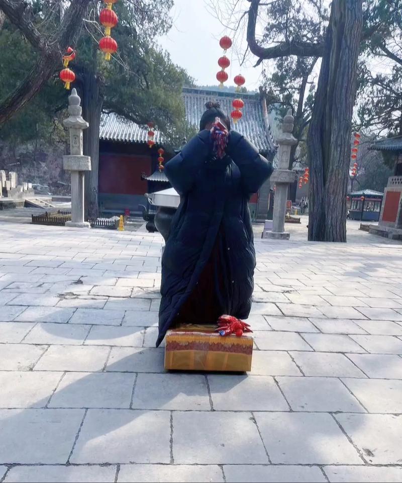 ��Ф�����ʮ����Ф�ò���