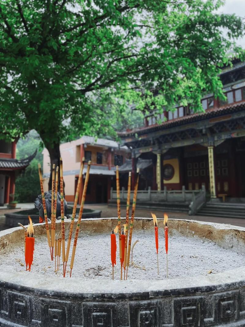 2006年10月24日出生是什么命 2006年10月24日出生是什么命