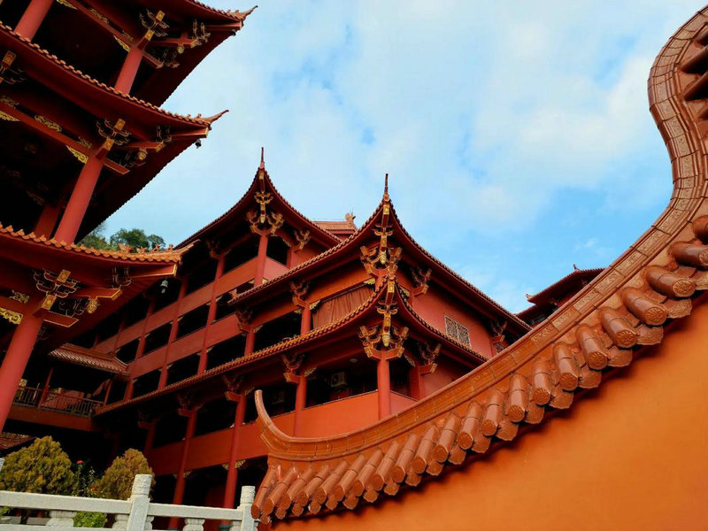 صǩ54ǩӰǷֵõ(صǩ54ǩã)